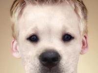 Dog Man
