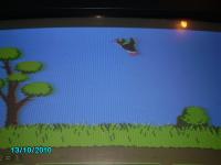 jeu duck hunt