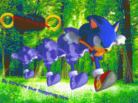 Shine forest zone