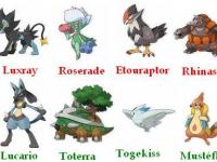 Nos pokémon Diamand/Perle