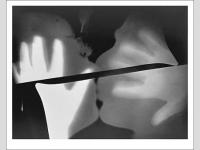Sur les traces de Limbo (2)