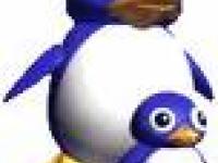 coincoin