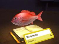 Livre de pêche3