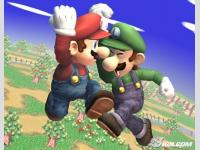 Mario Vs Luigi