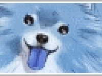 Missinic_the_blue_dog