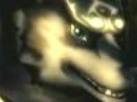 Link garou 2