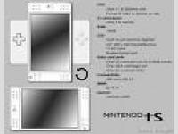 NDS Fake (3)