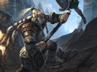 Link vs Nain