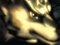 Wolf link 7 