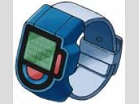 poketchi