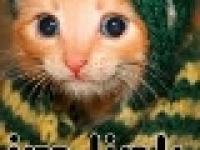 I'm Link