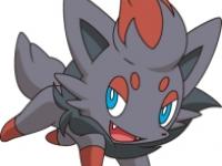 zorua