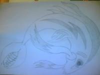 poisson 