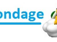 Sondage