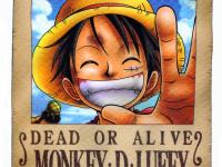 luffy