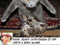Body slam