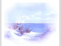 Plage violette