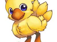 chocobo
