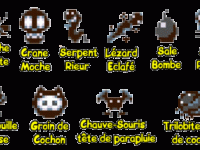 gros mot