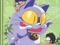 Coffret ranma 3