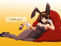 Haruhi playmate