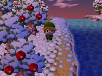 link Acwii