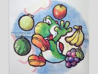 Yoshi's Story