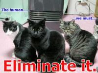 The uman we must eliminate it