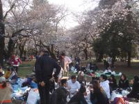 hanami