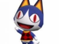chat
