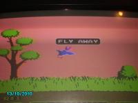 duck hunt perdu