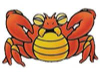 clawgrip (smb2 usa)