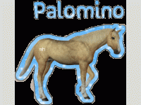 palomino