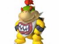 Bowser Junior