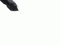 gif stg