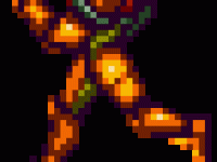 Samus court