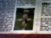épouvantail dans le journal