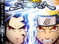 Ninja storm