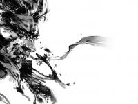 mgs 4