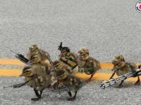 Army Chickens