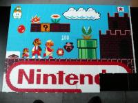 Fresque Mario 9
