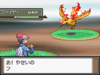 platine03