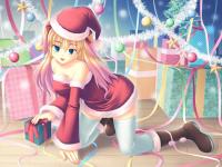 Happy Hollidays 2010