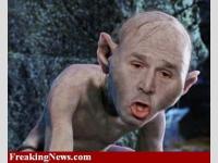 Golum Bush