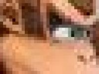 Editer