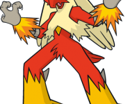 Brasegali