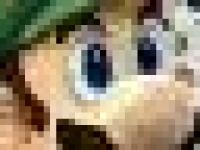 MP