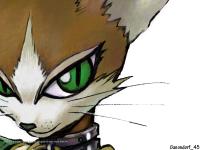 chat fox