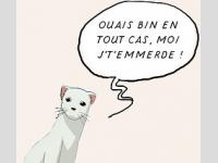 Belette