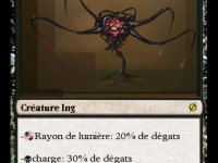 carte chasseur ing